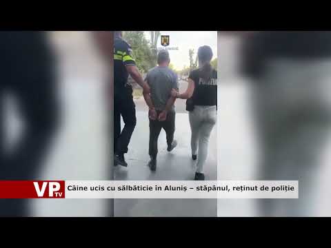 Câine ucis cu sălbăticie în Aluniș – stăpânul, reținut de poliție