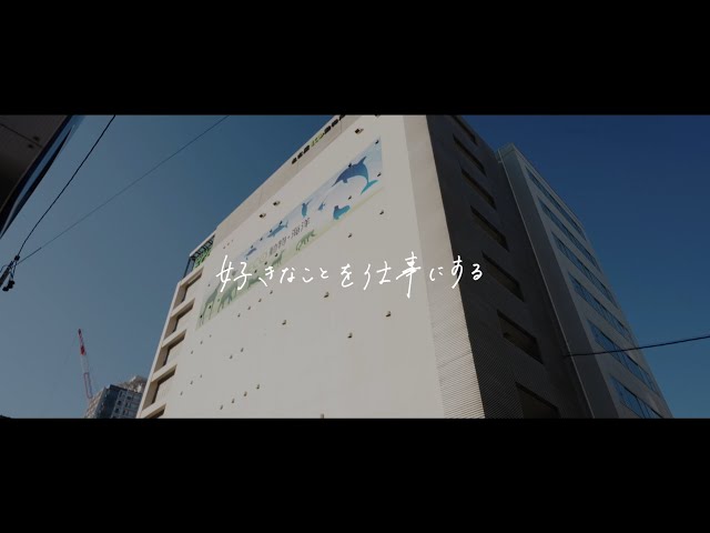 동영상 보기