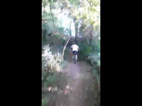 Single track mairago