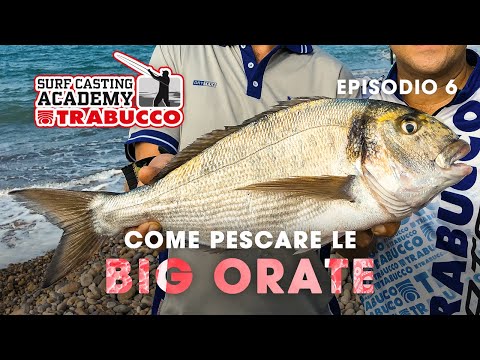COME pescare le BIG ORATE | SURFCASTING Academy S4E6 | @trabuccofishing