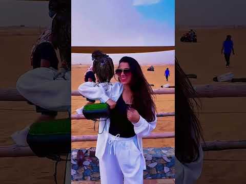 She Scared Of Falcon To Sit On Her Hand #shorts