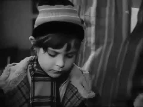 Nie interesuj się, bo kociej mordy dostaniesz