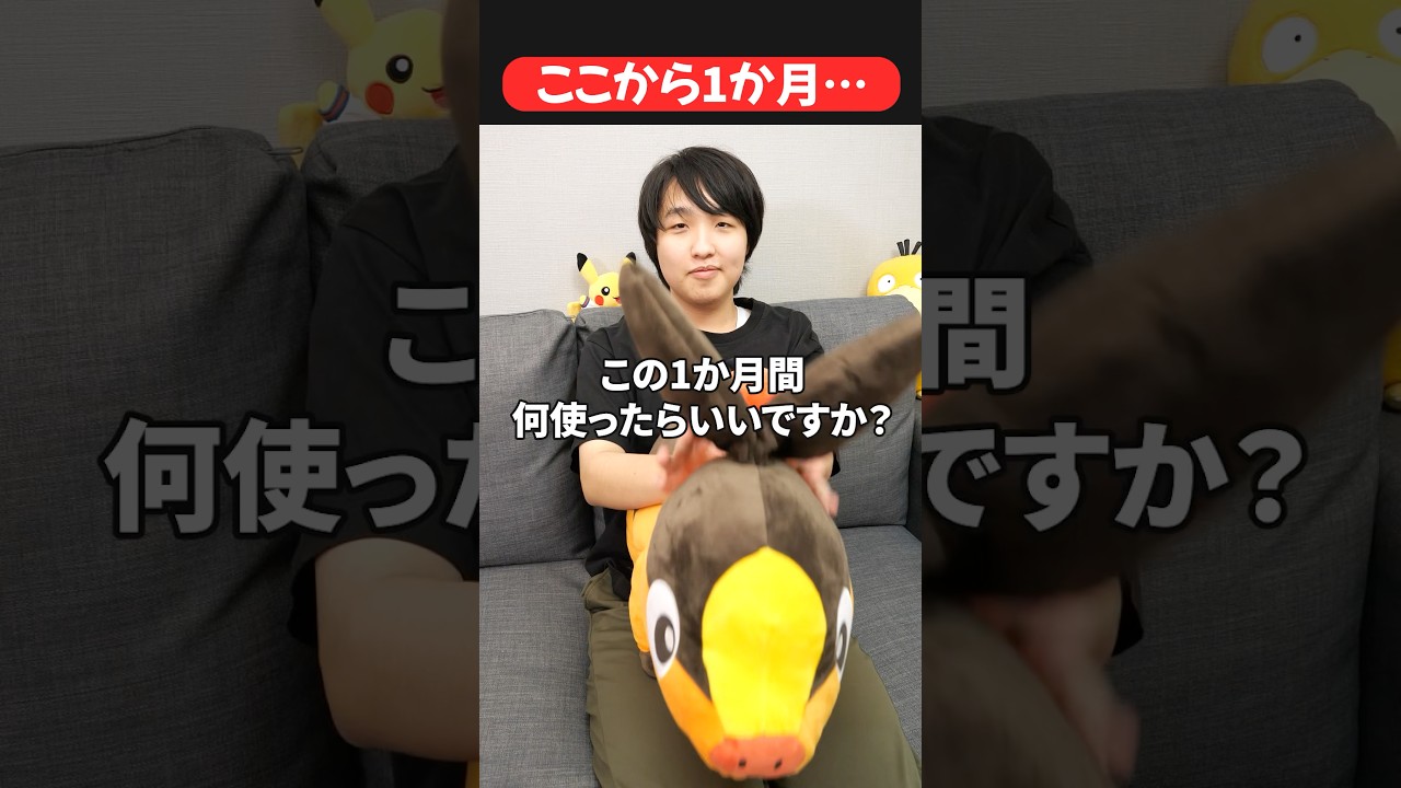 ドラパプロに質問してみた