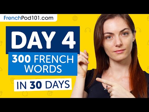 Day 4: 40/300 | Learn 300 French Words in 30 Days Challenge