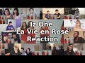 IZ*ONE (아이즈원) - La Vie en Rose (라비앙로즈) MV "Reaction Mashup" IZ*ONE (아이즈원) - La Vie en Rose (라비앙로즈) MV "Reaction Mashup"