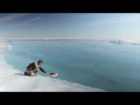 Extraction: A Colonial Condition