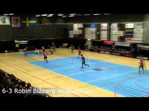 FHIB - ÅKIBS Highlights