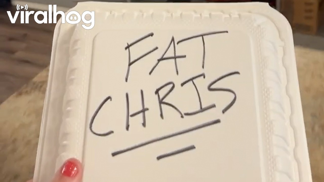 FAT Chris || ViralHog