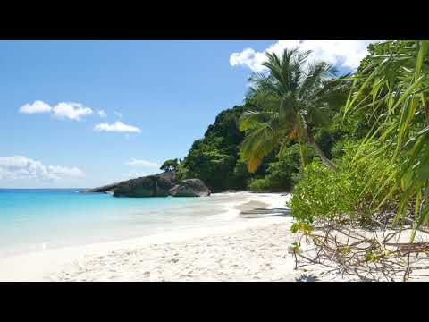 Tropical occean HD 1080p video with Beach sounds_4