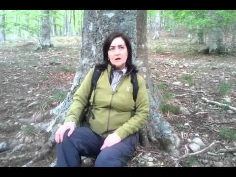 arcaica nenia abruzzese in dialetto vastese