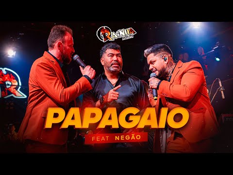 Rainha Musical papagaio