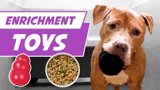 Enrichment Toys for Shelter Dogs (DIY for Your Dog)