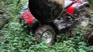 Born that way ; David Lee Murphy