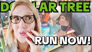 RUN TO DOLLAR TREE NOW! 🚨Brand New Finds You Can't Miss!