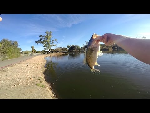 GoPro: Matthew Bray - Best Catch 4.12.15 - Fish