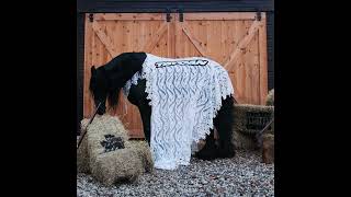 motive - champion (Official Audio)