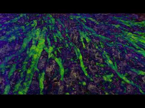 The Besnard Lakes - Chemin de la Baie [Official Video]