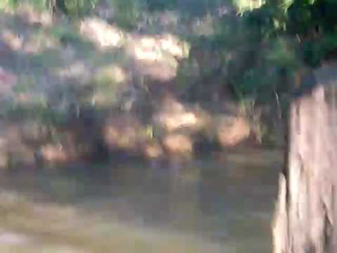 imagensda do rio 174