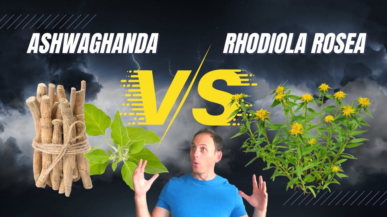 Ashwagandha vs  Rhodiola Rosea | Which Adaptogenic Herbal Nootropic Is Best For You
