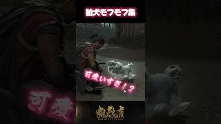 狛犬モフモフ集 #鬼武者剣の道ショート No.30