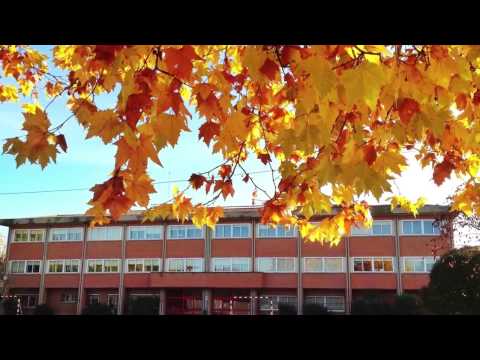 MARTÍN CHICO Visualización