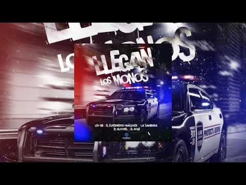 LLEGAN LOS MONOS Song