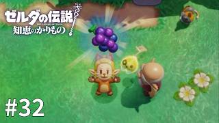 ゼルダの伝説 知恵のかりもの #32【もうずっとこのままの姿でいたい🐱】