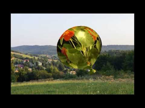 Niebocko - cztery pory roku