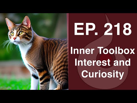 EP. 218: Inner Toolbox – Interest & Curiosity | Dharana Meditation Podcast