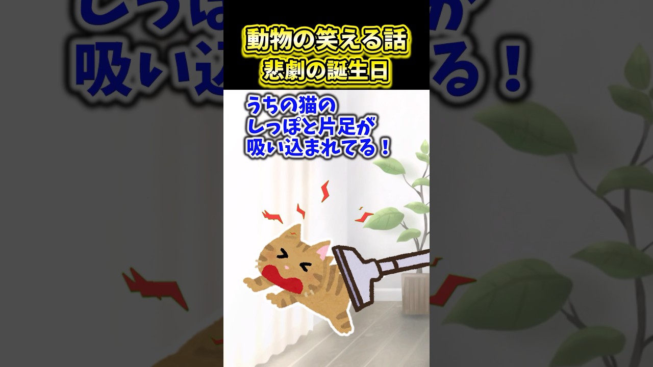 動物の笑える話〜悲劇の誕生日〜【2ch動物スレ】