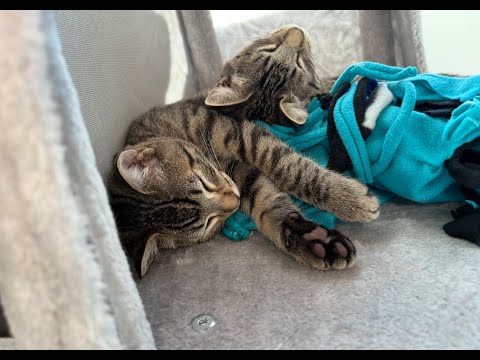 Episode 2936 CWSA 08/23/25