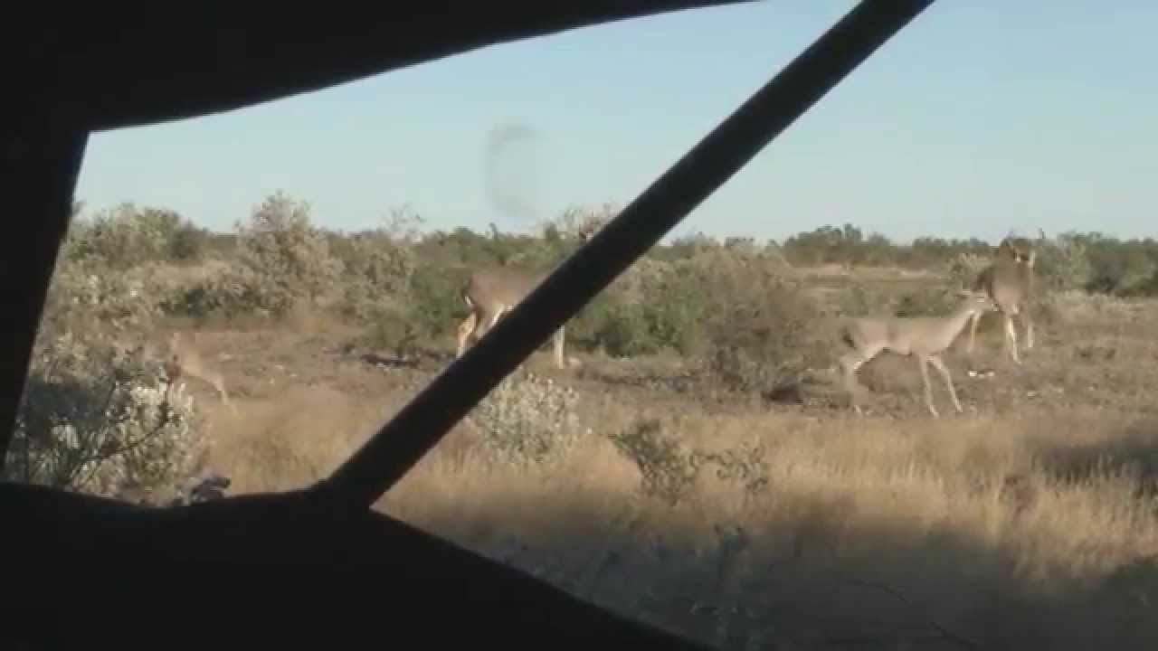 First Time Bow Hunter Stephanie Mallory Shares Her Experiance Deer Hunting in Texas