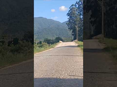 A Vida No Interior - Interior De Canelinha/SC