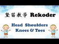 吹奏竖笛 Head Shoulders Knees And Toes II Rekoder Head Shoulders Knees And Toes