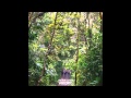Señor Loop - Grandes Ingenuos