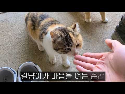 나랑 같이 살자