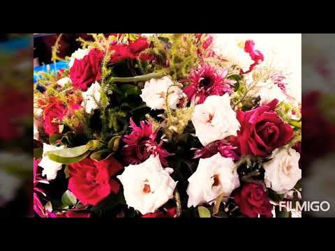 How to shot and edit Mobile photographs.