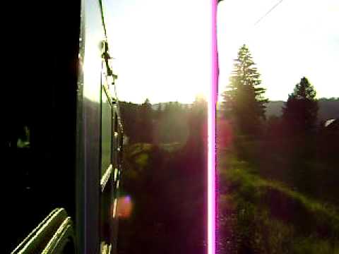 P3005 prin Timisul de Sus