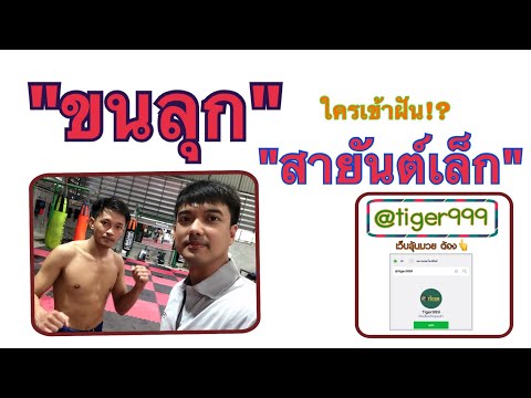เช็กฟิต สายันต์เล็ก ก่อนชกช่อง 7 สี(11ตค63)