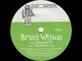 Brian Wilson - Wind Chimes