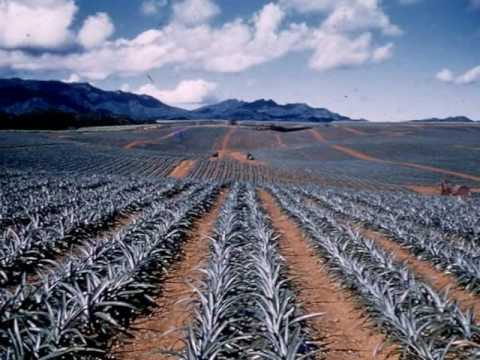 Bill Binnicker Tour of Duty in Hawaii