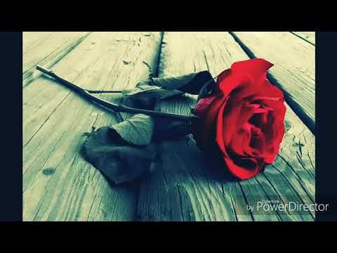 Sargis Abrahamyan Ser Cankaca