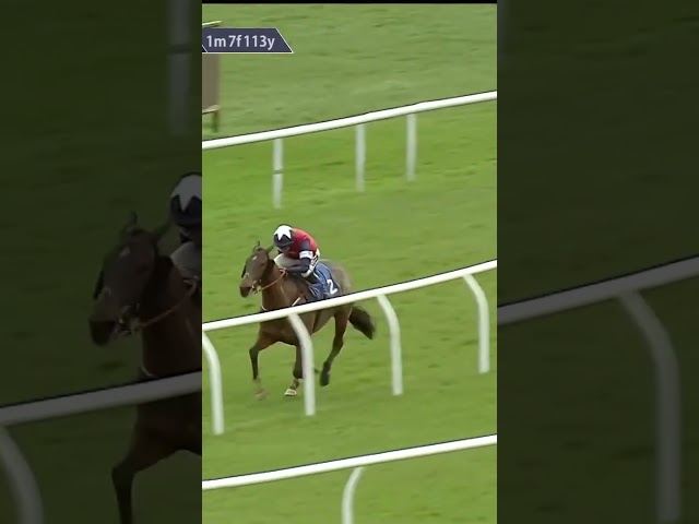 Thumbnail for Post ID: yMPQvHHSCTY