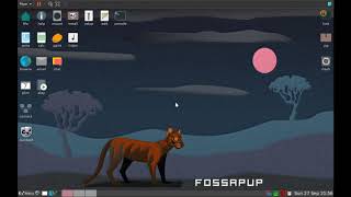 How To Install Puppy Linux 9.5 As The Main OS - Very Quick Walkthrough (FossaPup)