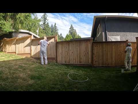 Frog clan painting group video.