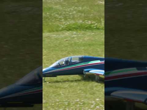 MB-339 cockpit view #radiocontrol #rcaircraft #instago