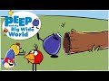 Peep And The Big Wide World Games PBS Kids PBS Kids Games Chirp Shapes Up Game