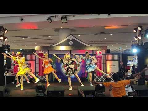 VID 5014  Aliszt - " Yokozuna + KuroNeko  "  J-TRENDS in TOWN  Summer Festival  @ Centralwestgate