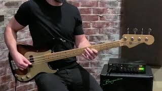 Bergantino Artist Matthew Denis Demos the new NXT212 (Neo X- Treme Technology) with the fort HP!