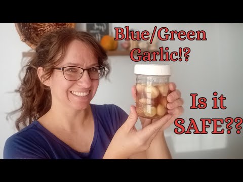 Blue Green Garlic: Why it turns color: Is it Safe to eat?